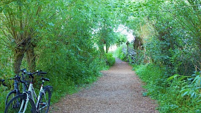 Weg durch die Rieselfelder