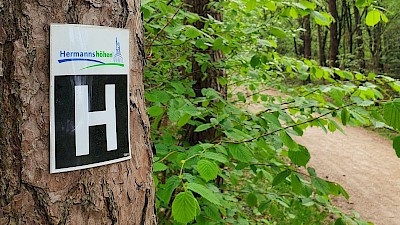 Immer dem "H" hinterher