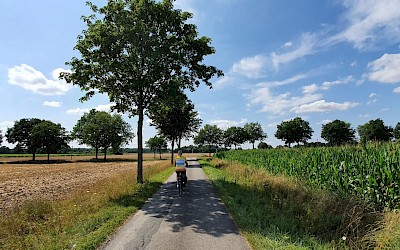 Unterwegs im Münsterland