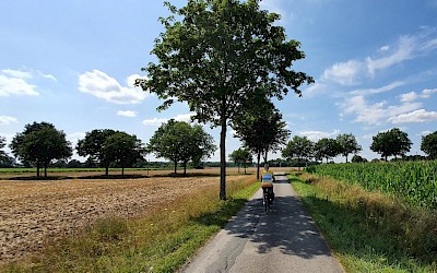 Unterwegs im Münsterland