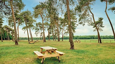 Picknickplatz bei den Wildpferden