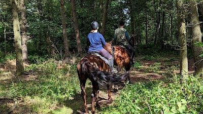 Über Stock und Stein durch die Natur des Münsterlandes