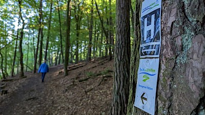 Die Beschilderung der Teutoschleife Bevergerner Pättken
