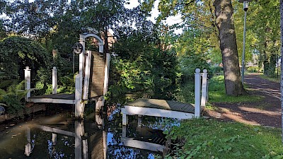 Wunderschöne Alleen säumen oft den Wanderweg