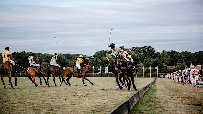 Die Geschwindigkeit beim Spiel ist sehr hoch