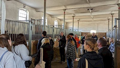 Die Besucherinnen und Besucher gucken in die Pferdeboxen