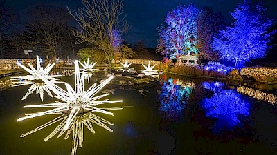Wunderschöne Spiegelungen auf dem Wasser