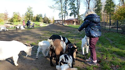 Die große Fütterung