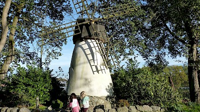 Hans im Glück im Märchenwald