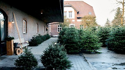 Der Hof Püning von außen