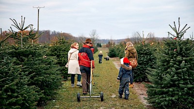 Zusammen suchen wir einen Baum aus