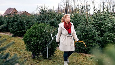 Und ab nach Hause mit dem Christbaum