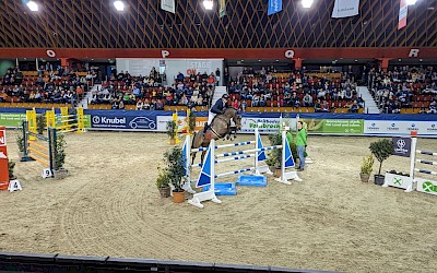 Springen, Reiten, Kutsche fahren