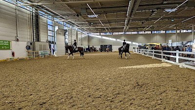 Der Abreiteplatz in der Halle der Dressurprüfungen