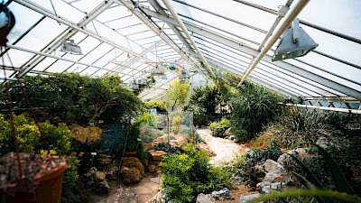 Kakteen, Palmen und Wachteln können unter anderem im Botanischen Garten bestaunt werden.