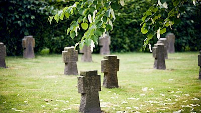 Der Friedhof mit dem Taschentuchbaum