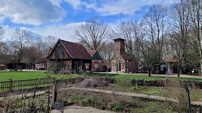 Blick aus dem Garten