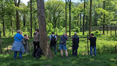 Wilde Fotografenmeute