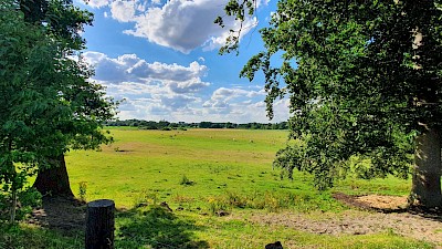 Emsradweg zwischen Greven und Emsdetten