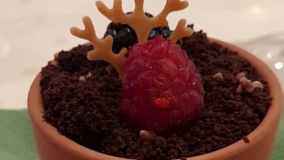 Das Pötter Blumentopf-Dessert