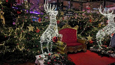 Aegidii-Weihnachtsmarkt