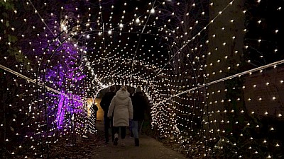 Lichterfest in Stadtlohn