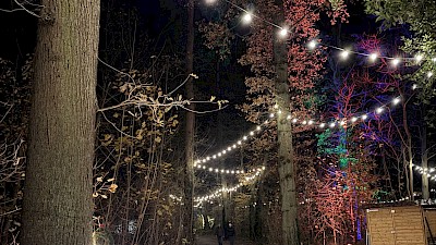 Lichterfest in Stadtlohn
