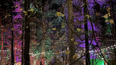 Lichterfest in Stadtlohn