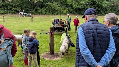 Besonders für Kinder sind die Ponys ein Highlight.