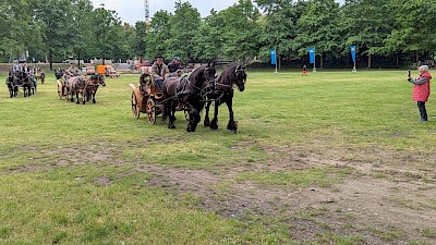 Nach und nach kommen die Kutschen auf die Planwiese
