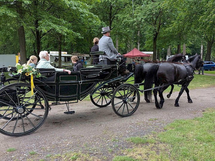 Es gibt historische Kutschen und Marathonkutschen.