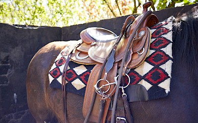 Westernreiten