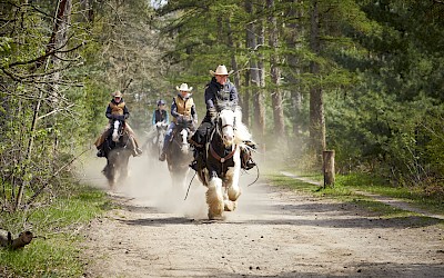 Westernreiten im Münsterland.