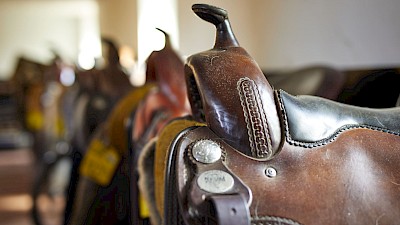 Westernreiten