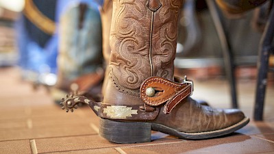 Westernreiten