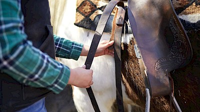 Westernreiten