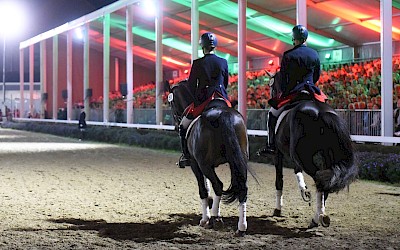 Pas de Deux bei der Parade bei Nacht im NRW Landgestüt