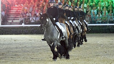 Kaltblutquadrille bei der Parade bei Nacht