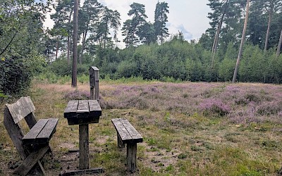 Metelener Heide