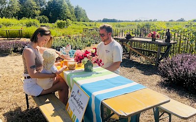 Picknicken im Münsterland