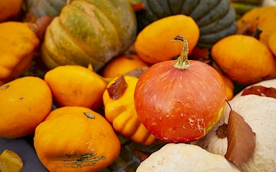 Herbstferien