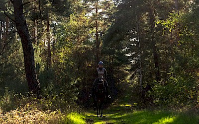 Ausritte im Münsterland