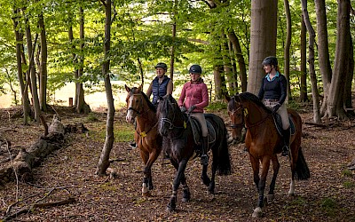 Ausritte im Herbst