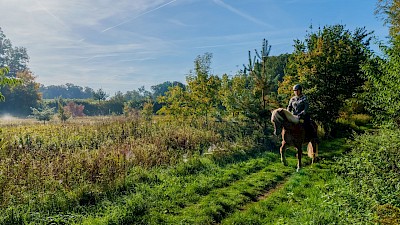 Reiten an der Hessel