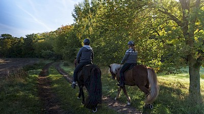 Reiten an der Hessel