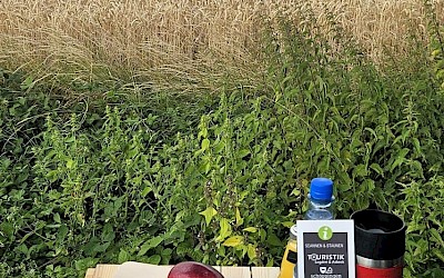 Picknick mit Aussicht