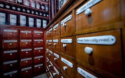 Ausstellungsstücke in der Villa Medica