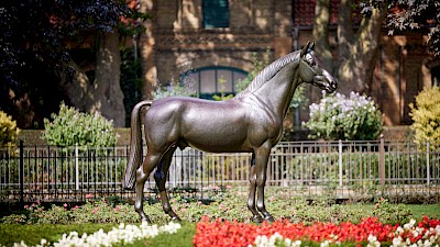 Warendorf Landgestüt