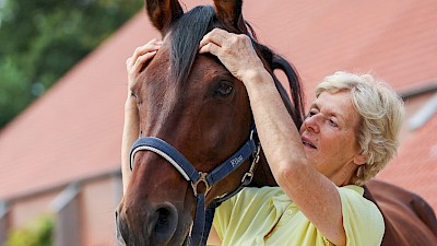 Pferdephysiotherapie