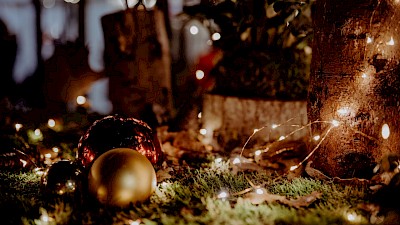 Velener Waldweihnachtsmarkt